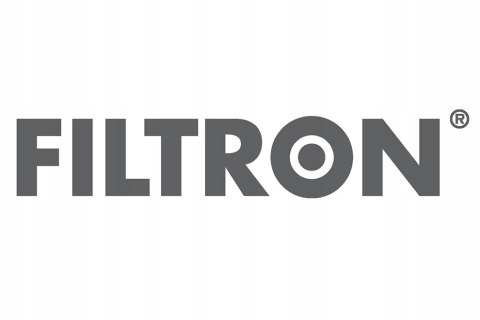 FILTRON AK 246 - Filtr powietrza FILTRON AK 246 - Filtr powietrza