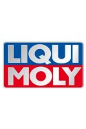 LIQUI MOLY 1971 Injection Reiniger - Oczyszczacz wtryskiwaczy do benzyny 300ml