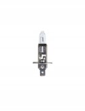 PHILIPS Philips H1 70 W 13258MLC1 1 szt.