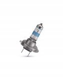 PHILIPS Philips H7 55 W 12972RGTB1 1 szt.